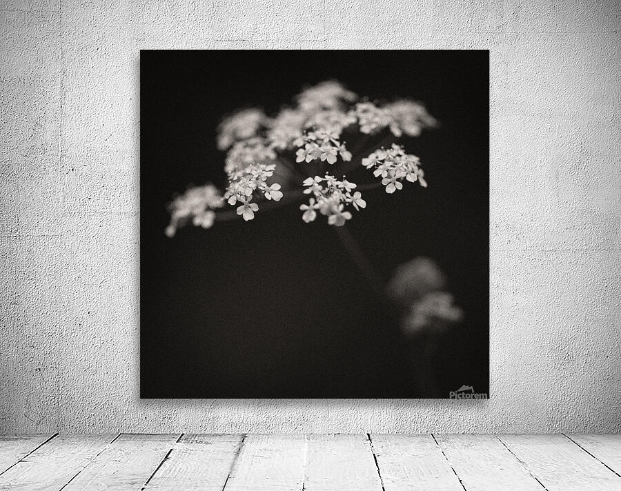 Woodland Study 2 Wall Preview