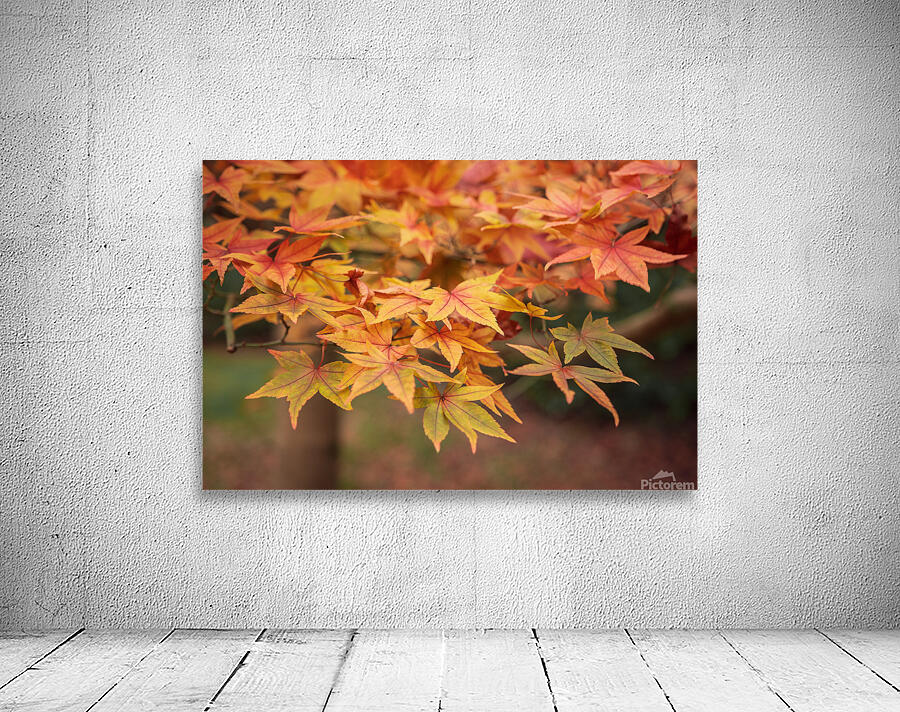 Turning Seasons Wall Preview