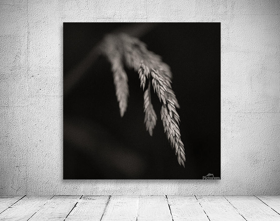 Woodland Study 7 Wall Preview