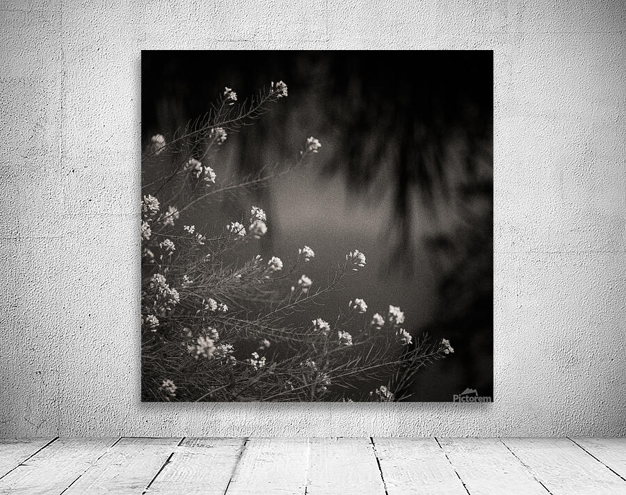 Woodland Study 12 Wall Preview