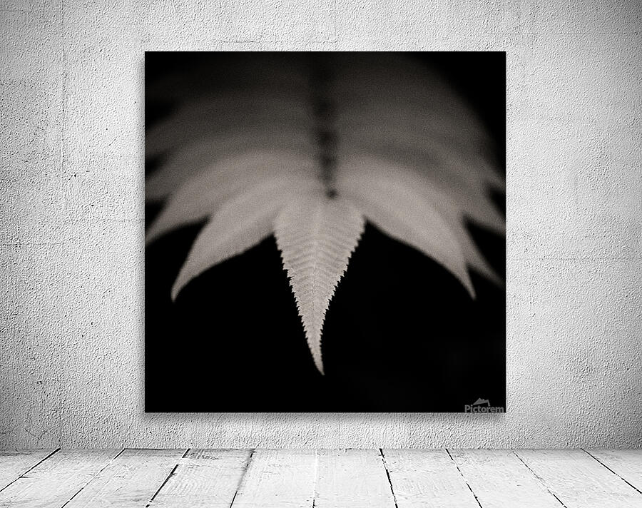 Woodland Study 8 Wall Preview