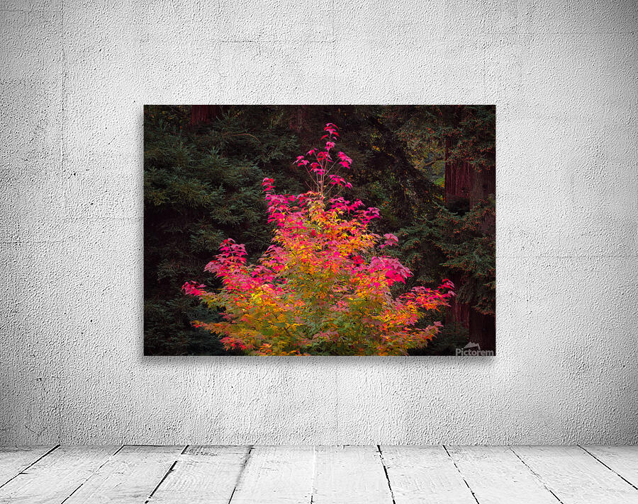 Fire Tree Wall Preview