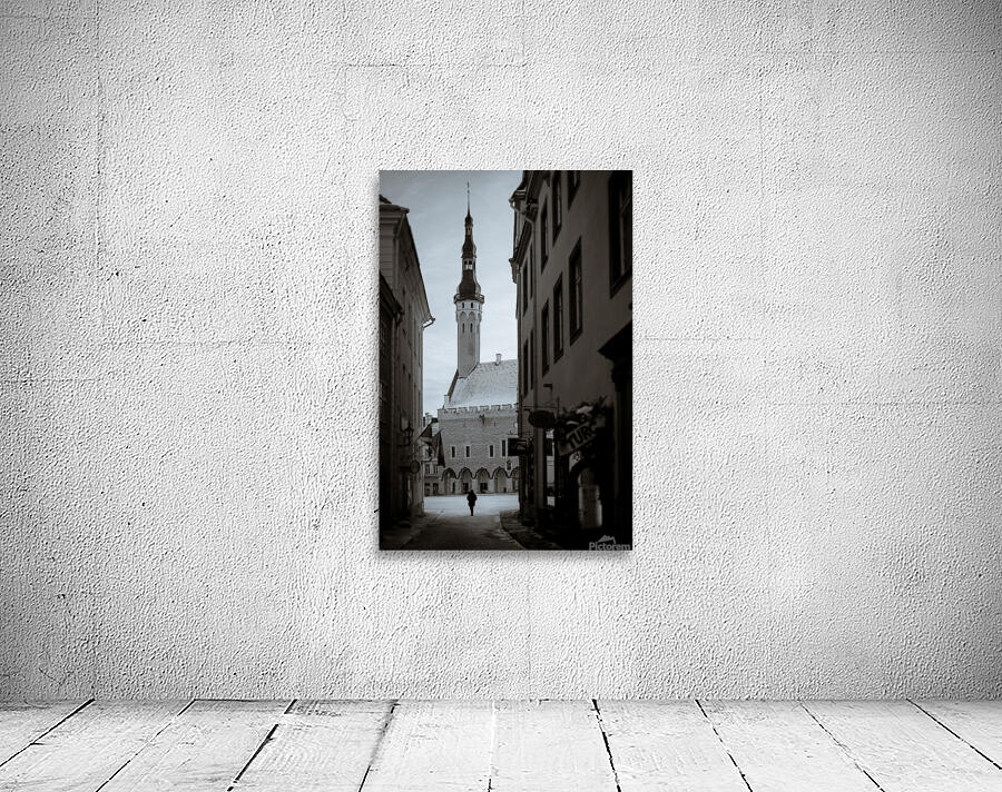 Alone in Tallinn Wall Preview