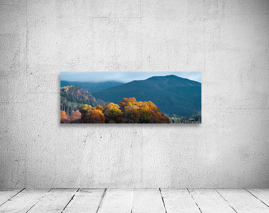 Autumn at Tay Forest Park Wall Preview