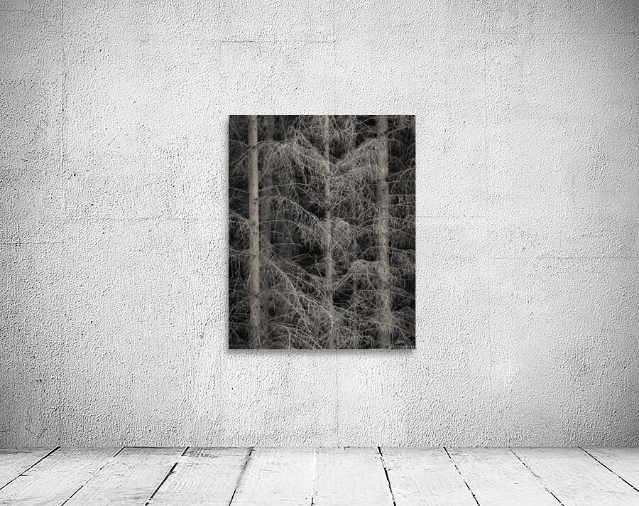 The Edge of Silence Wall Preview