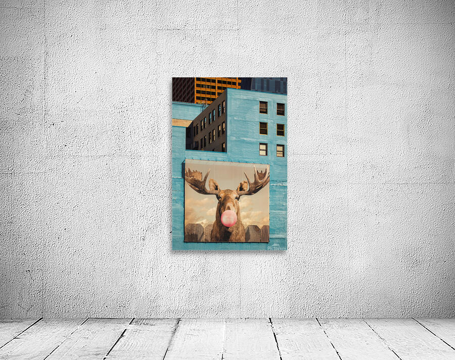 Chicago Bubblegum Moose Wall Preview