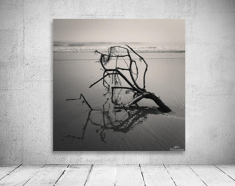 Washed Ashore Wall Preview