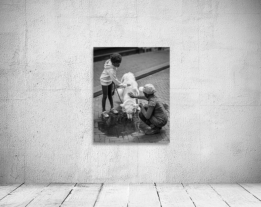 Watering Hole Wall Preview