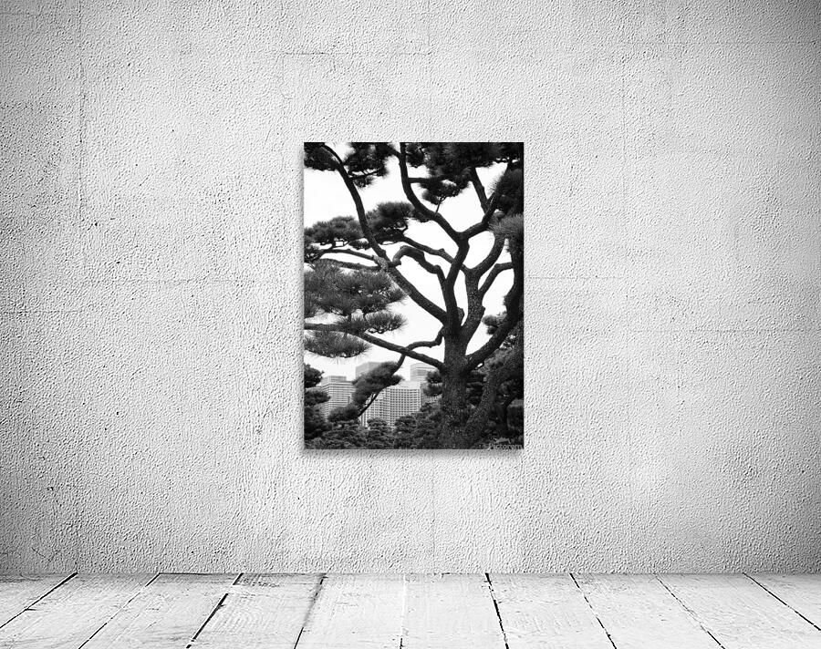 Kokyo Gaien Branches Wall Preview