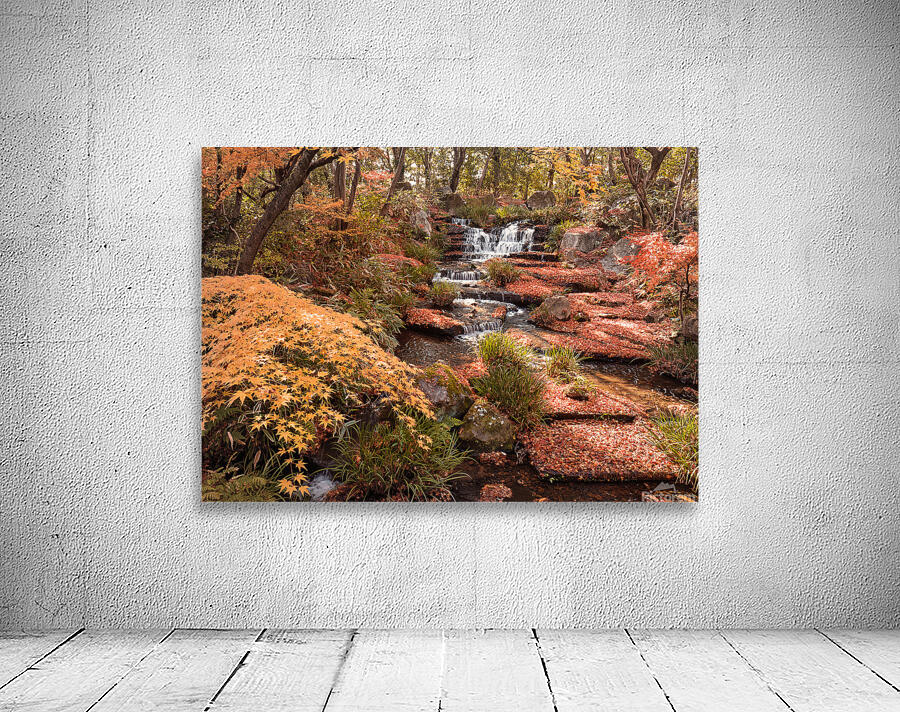 Autumn in Kokoen Garden Wall Preview