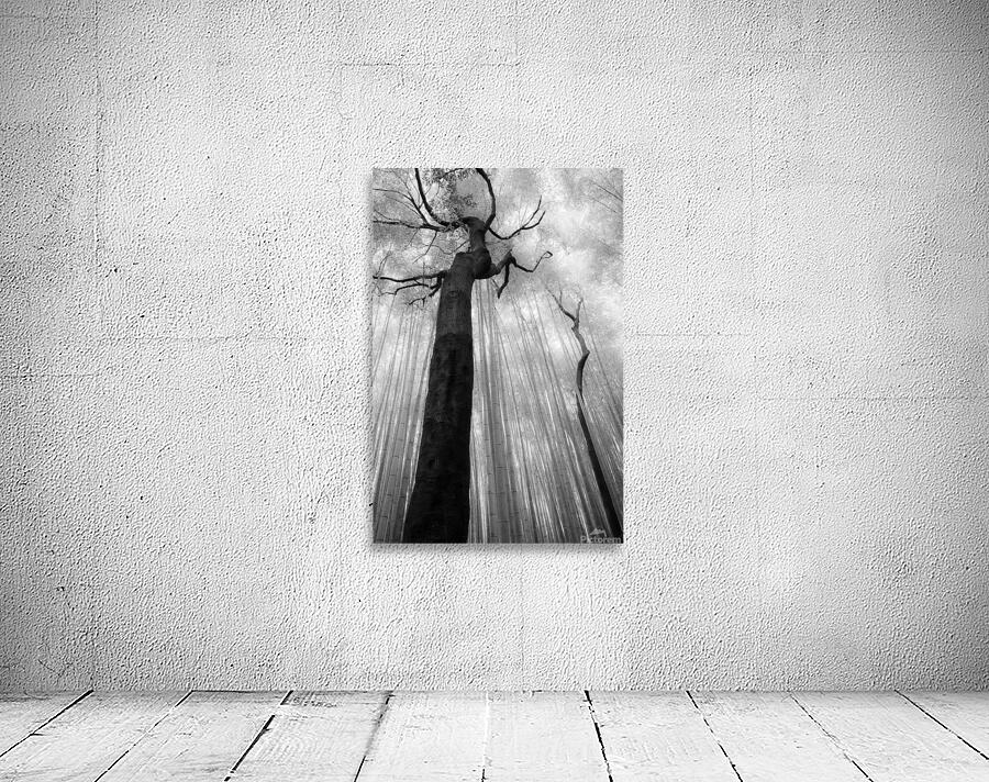 Fractured Rhythm Wall Preview