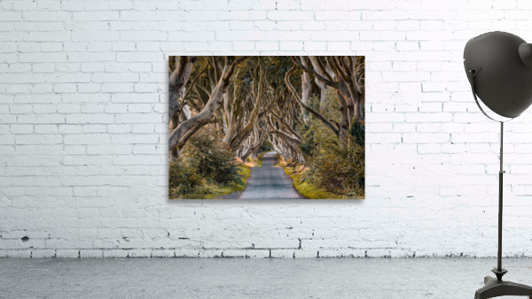 The Dark Hedges Wall Preview