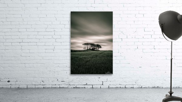 Crawton Copse Wall Preview