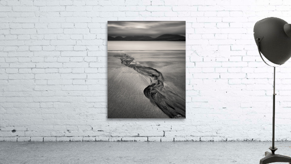Luskentyre Sand Tracks Wall Preview