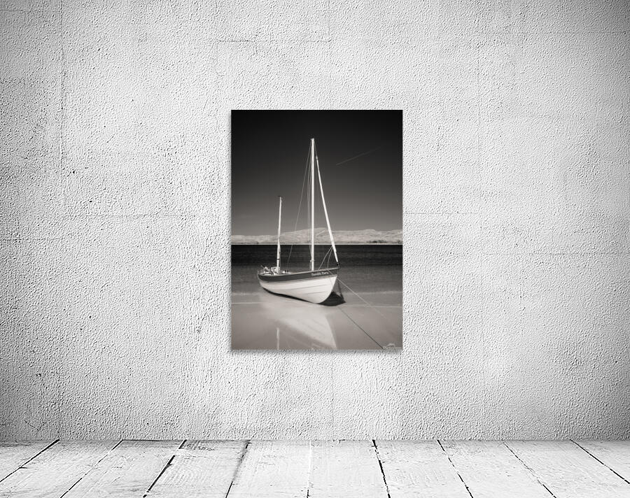 Dumble Dory Wall Preview