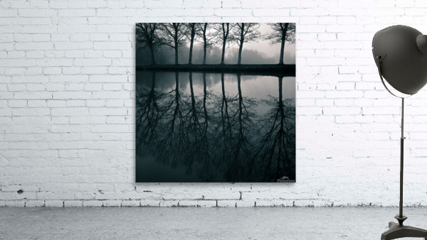 Wilhelminapark Wall Preview