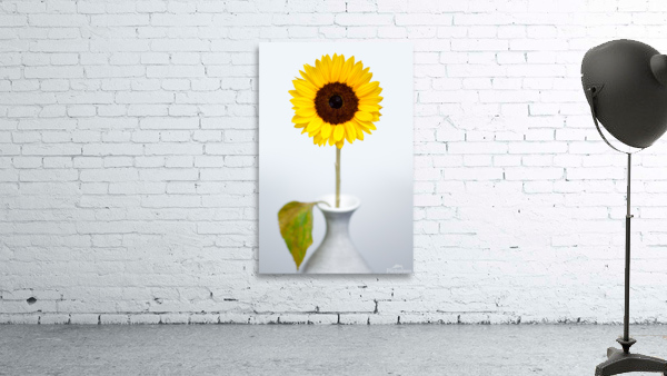 Sunflower Wall Preview