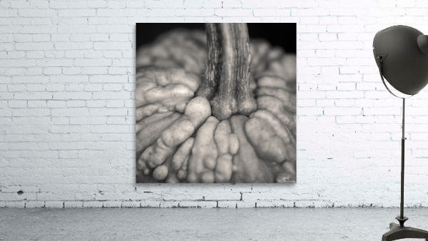 Knucklehead Pumpkin Wall Preview