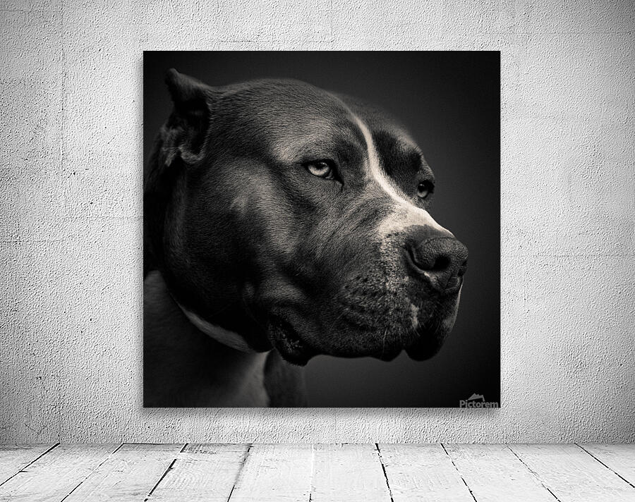 Big Fella Wall Preview