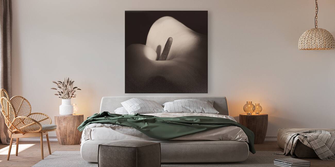 Calla Lily Reproduction