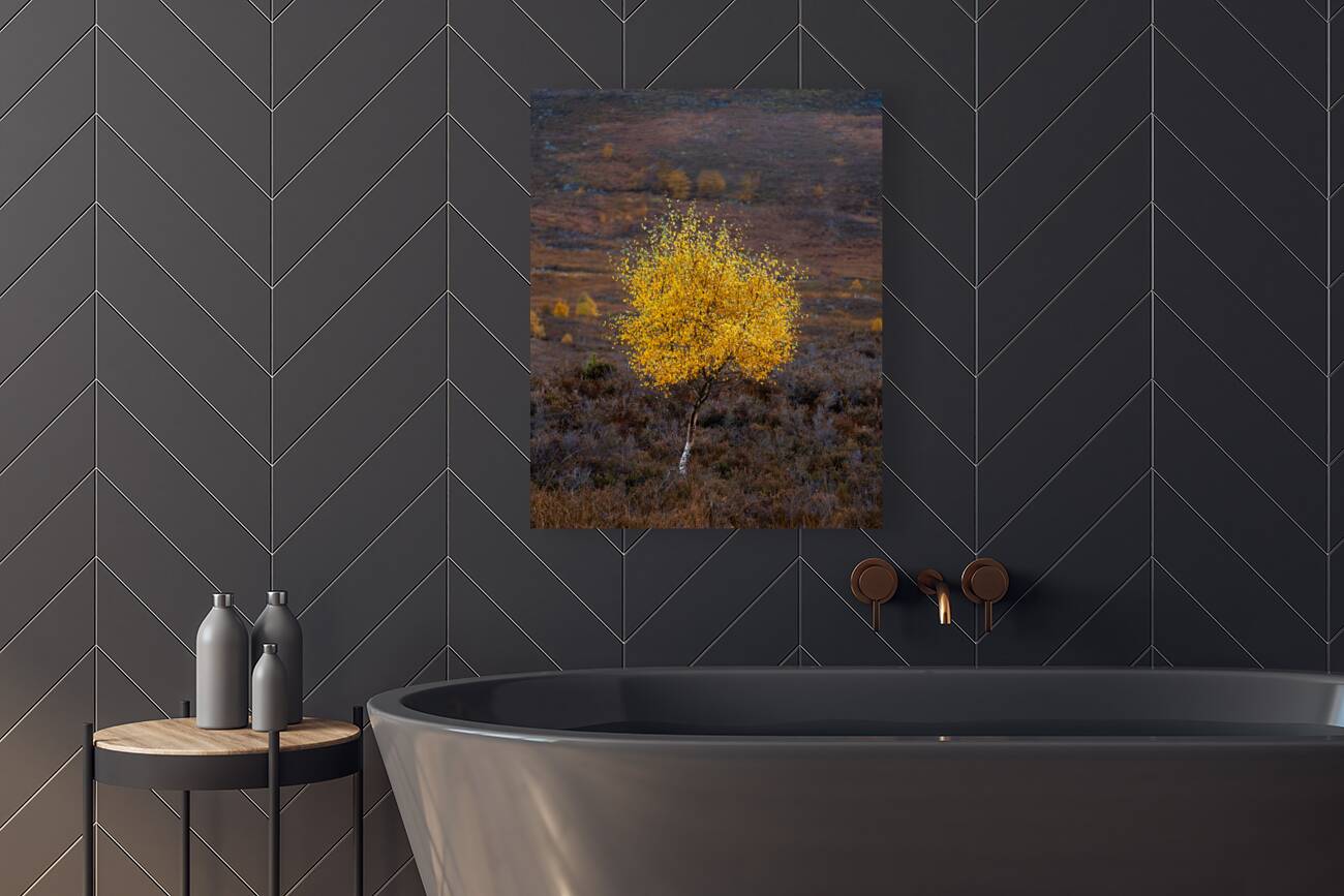 Autumn Tree Reproduction