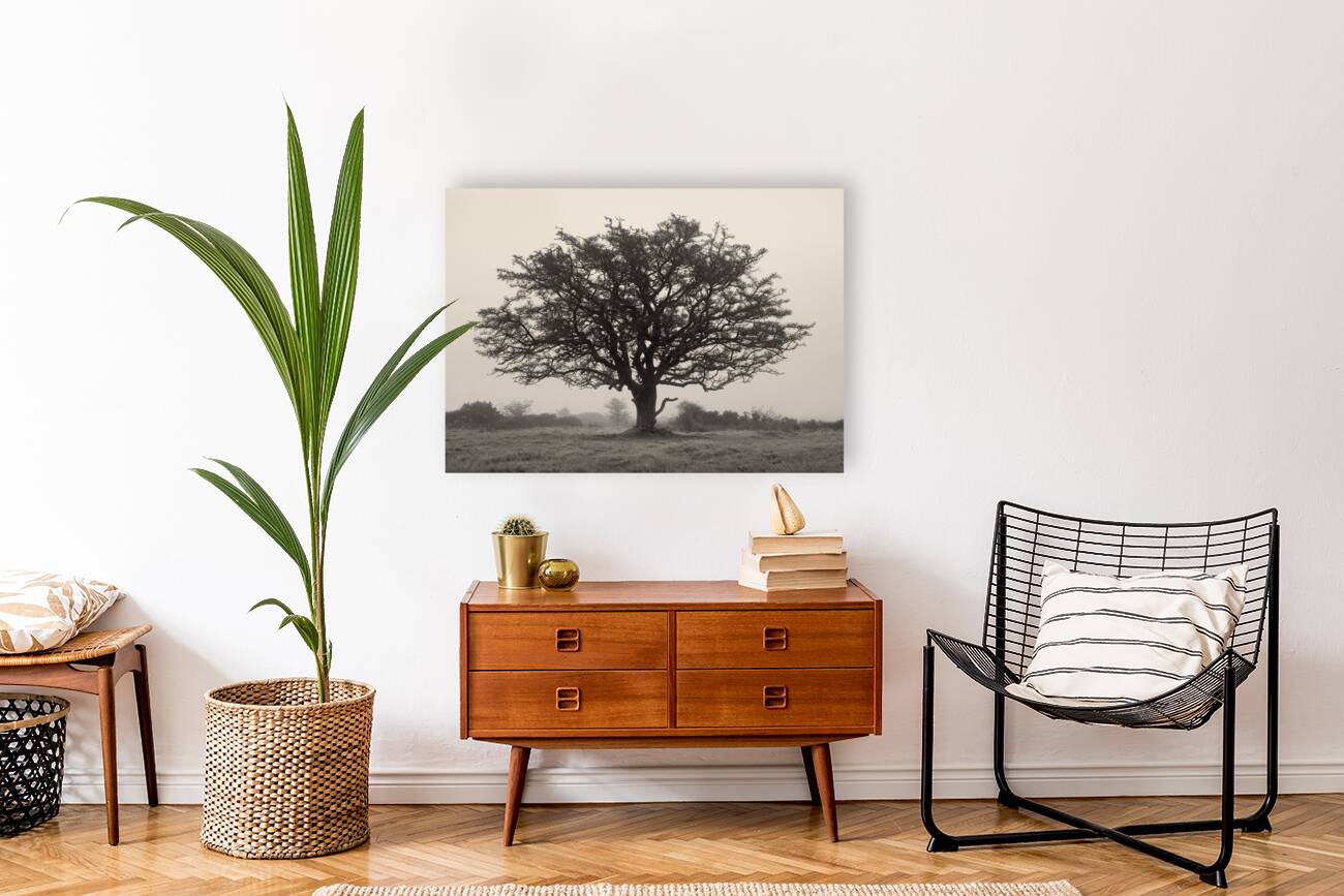 Exmoor Tree Reproduction