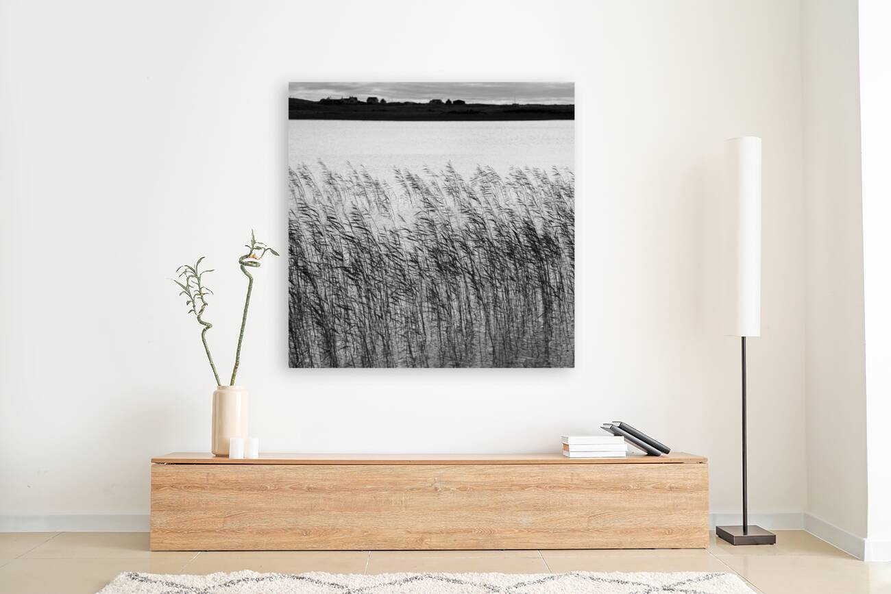 Uist Reeds Reproduction