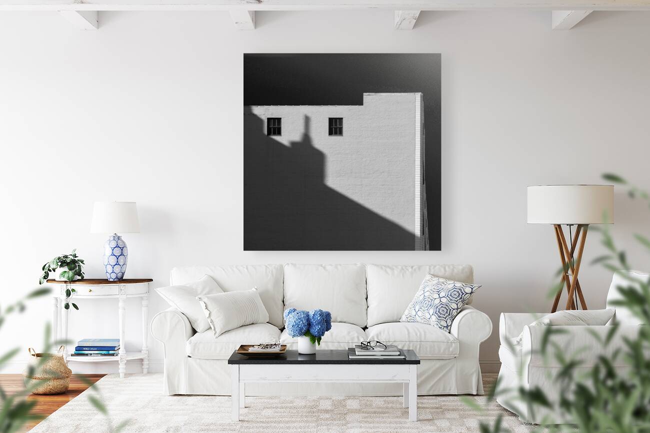 Chicago Shadow Reproduction