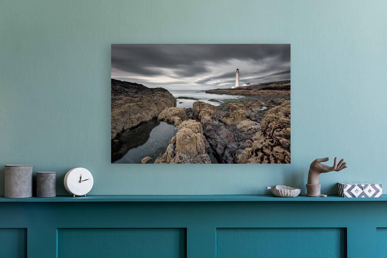 Scurdie Ness Reproduction