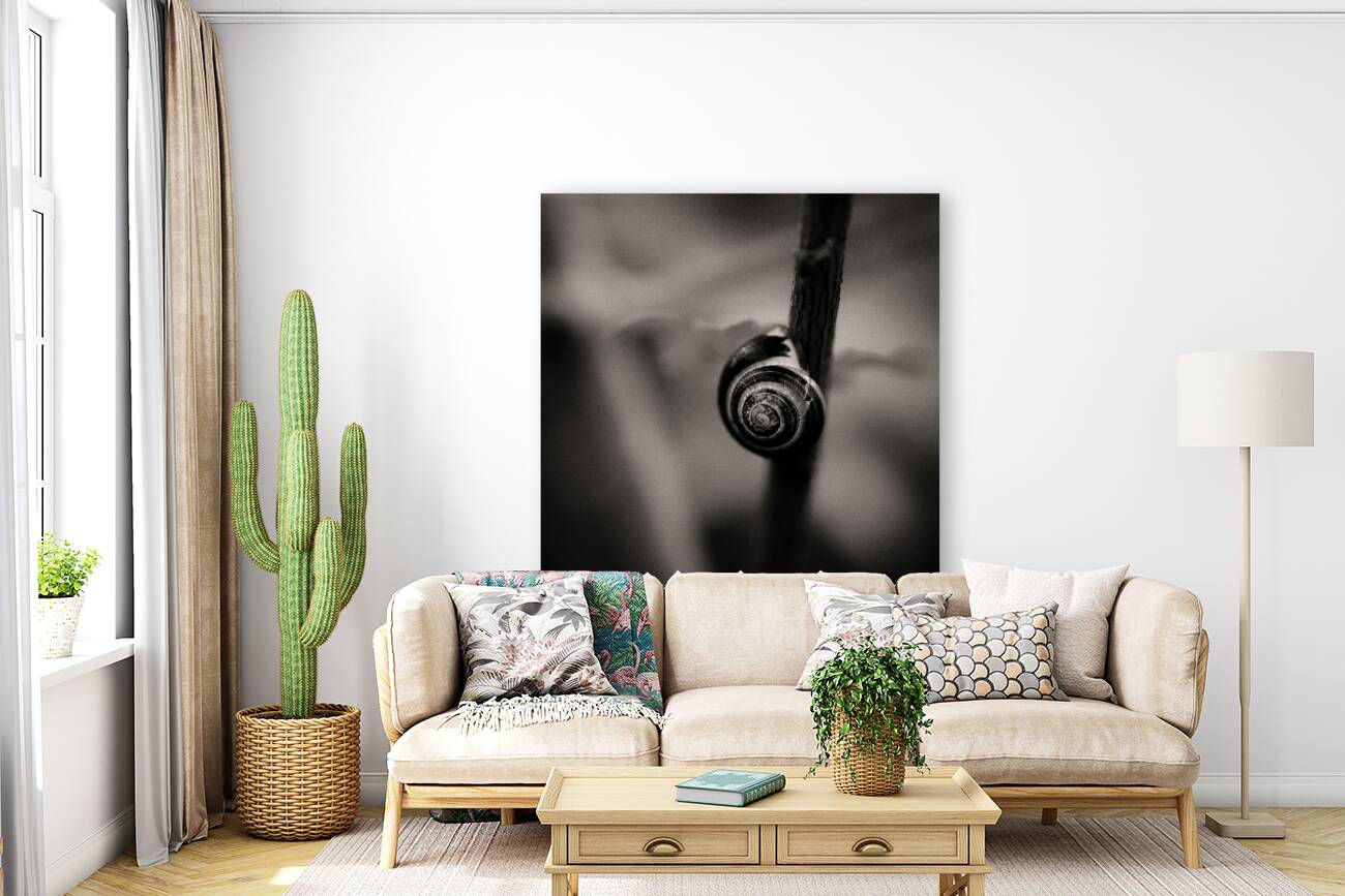 Woodland Study 11 Reproduction