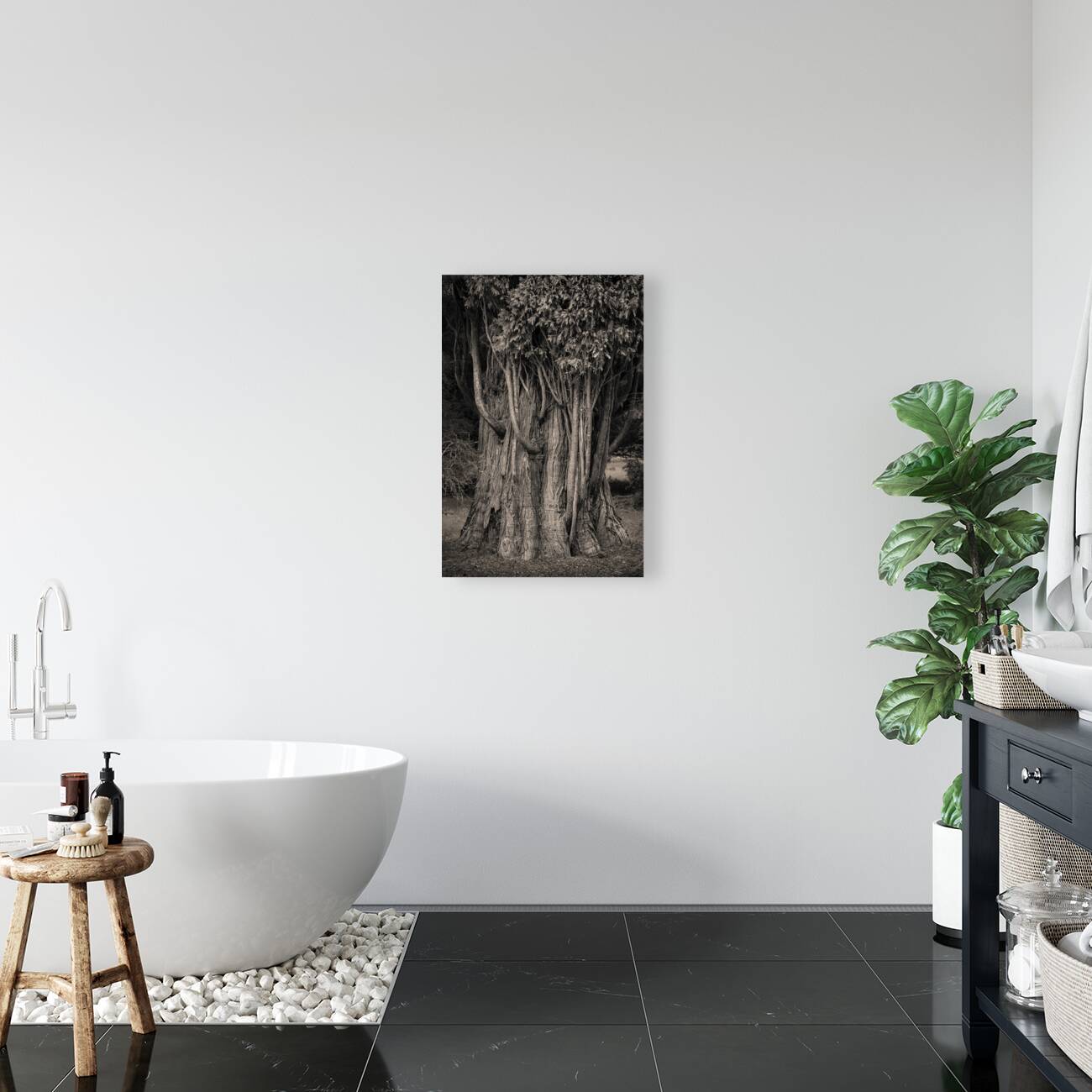 Incense Cedar Reproduction