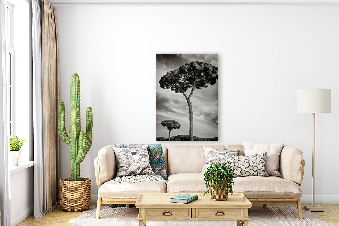 Roman Forum Trees Reproduction