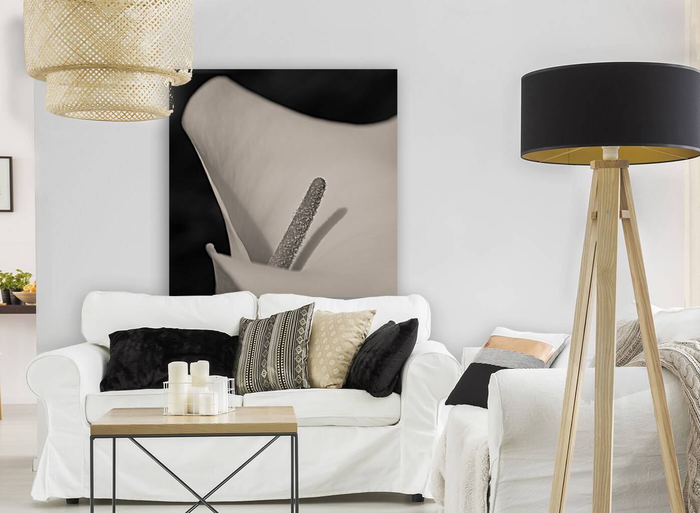 Calla Lily Beauty Reproduction