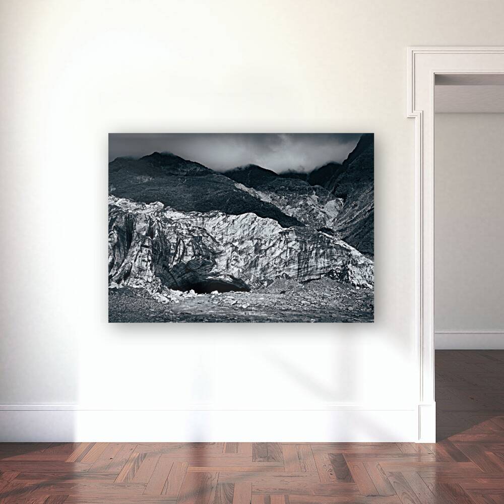 Fox Glacier Reproduction