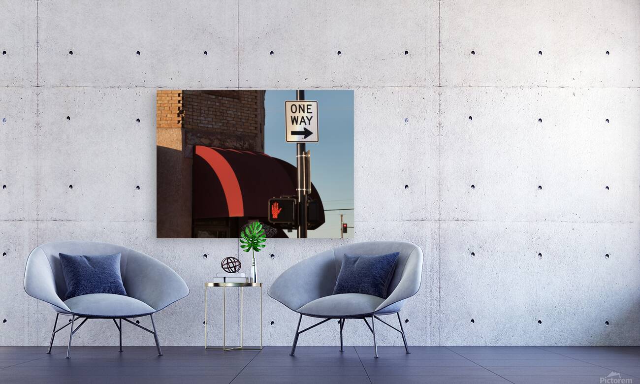 One Way Reproduction