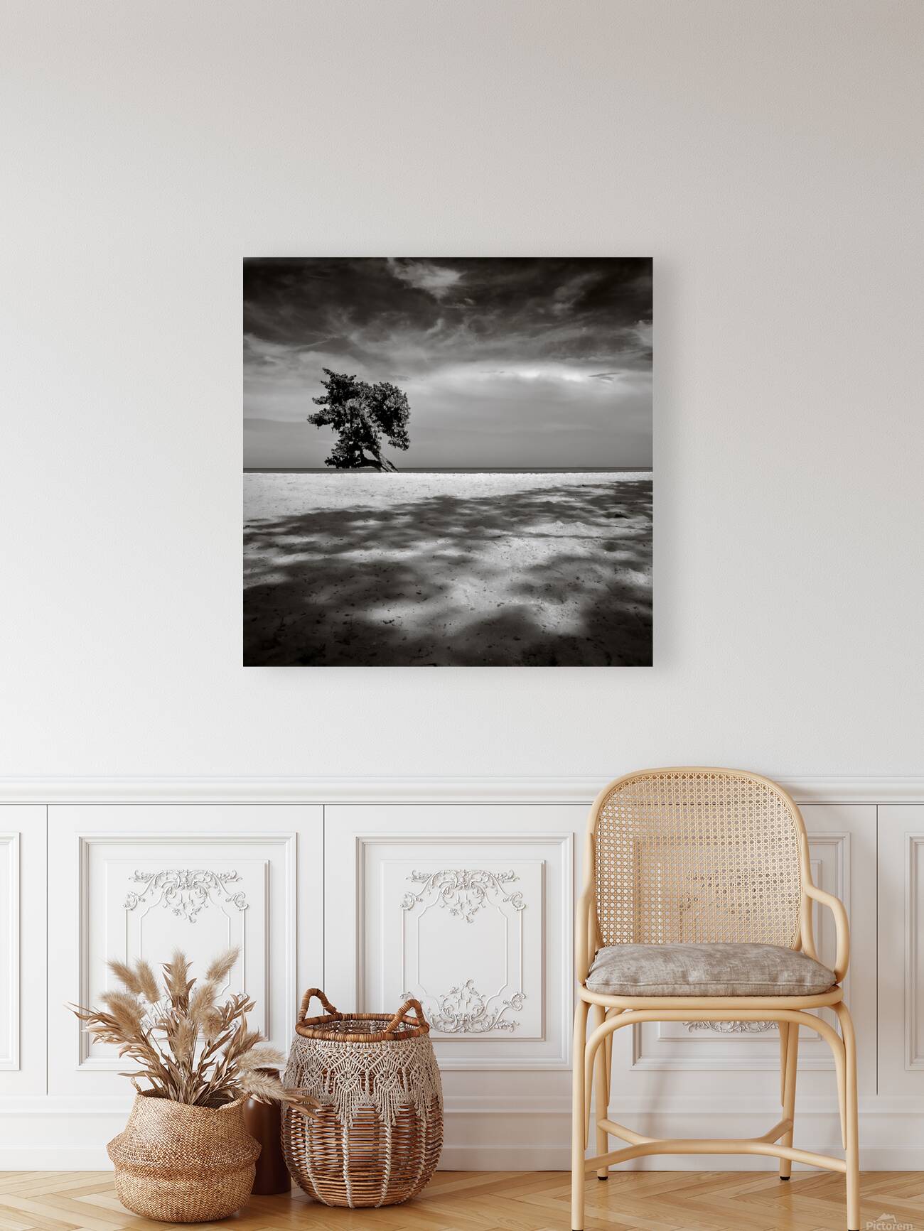 Beach Tree Reproduction