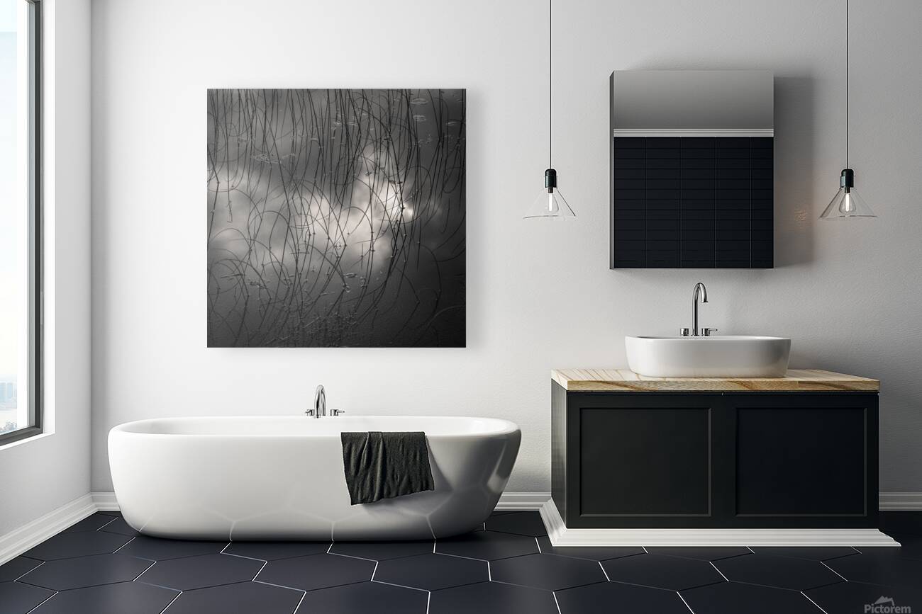 Reeds and Clouds Reproduction