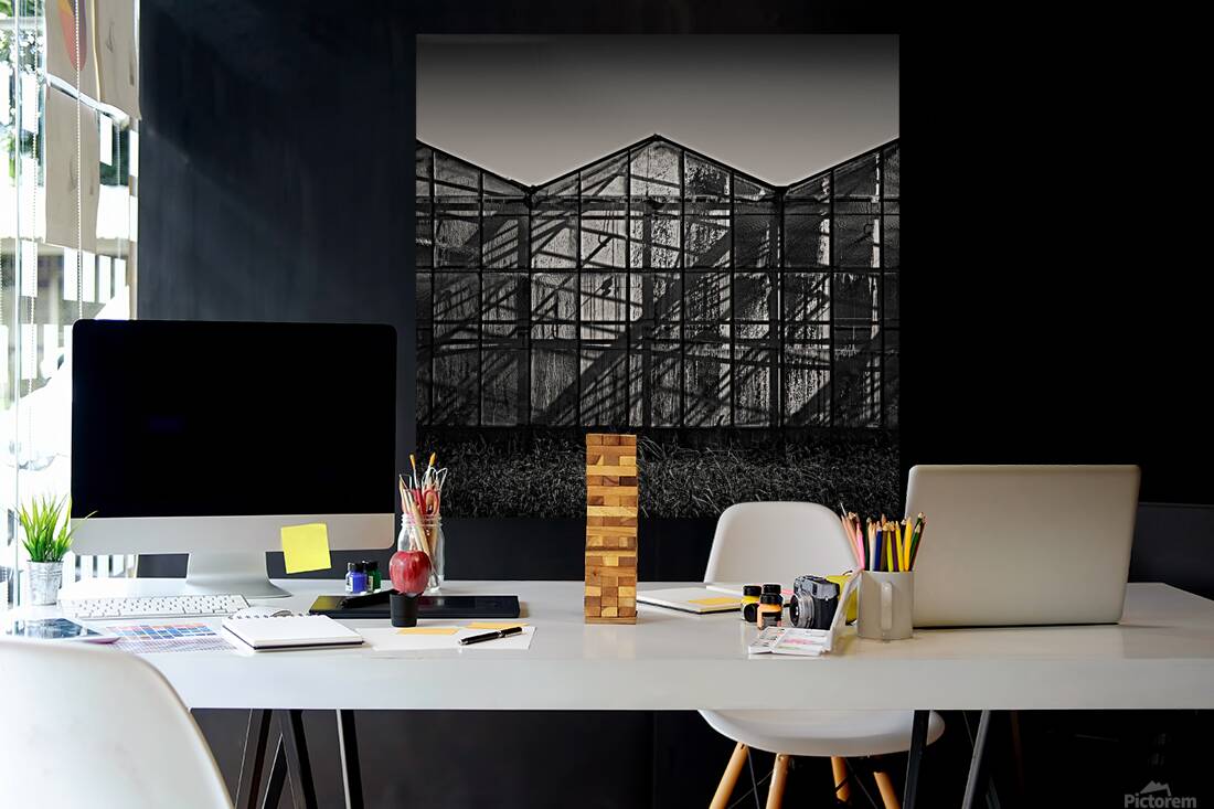 Greenhouse Shadows Reproduction