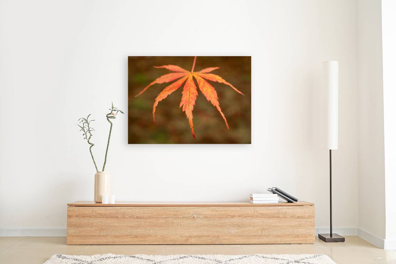 Japanese Maple Leaf Reproduction