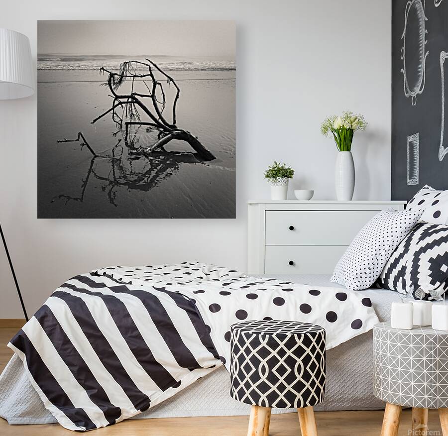 Washed Ashore Reproduction