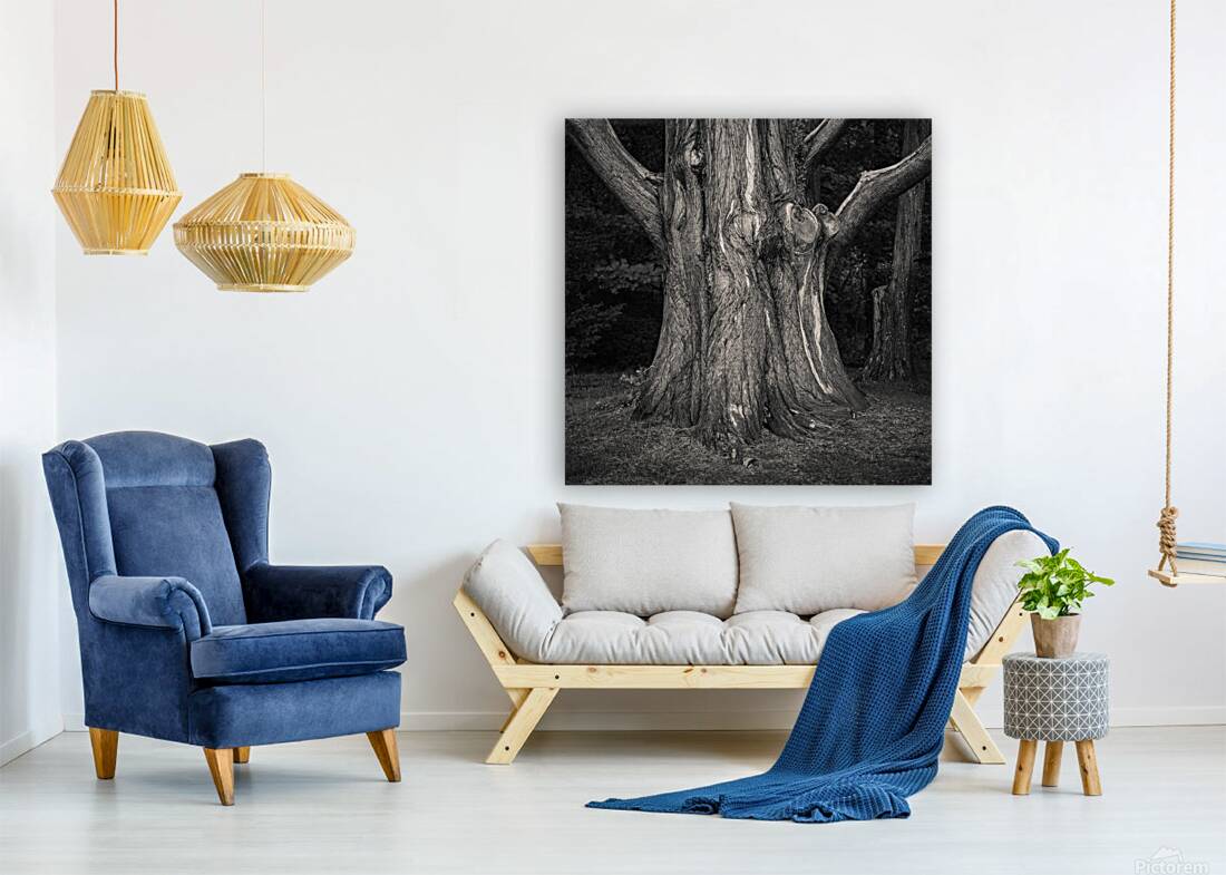 Plas Newydd Tree Reproduction