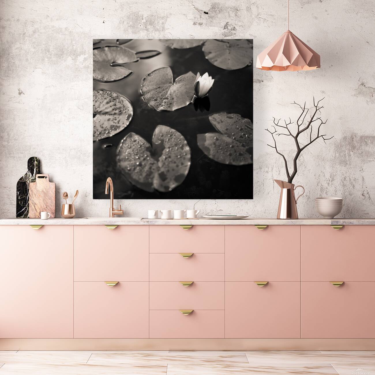 Water Lily After Rain Reproduction