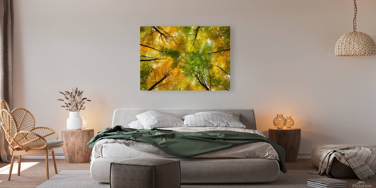 Autumnal Display Reproduction