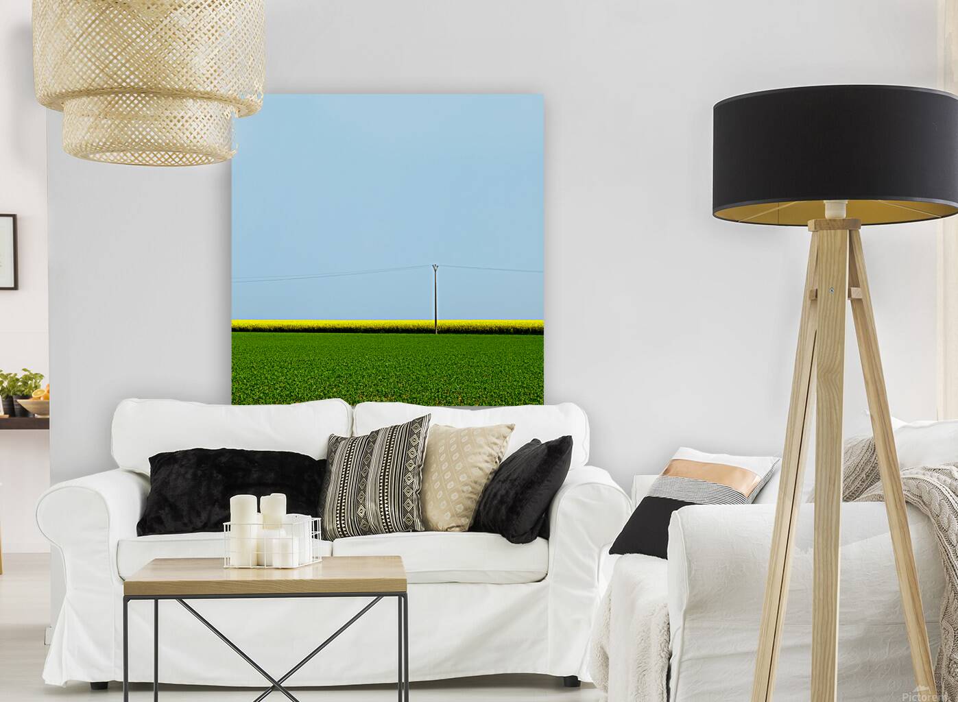 Mustard Sandwich Reproduction