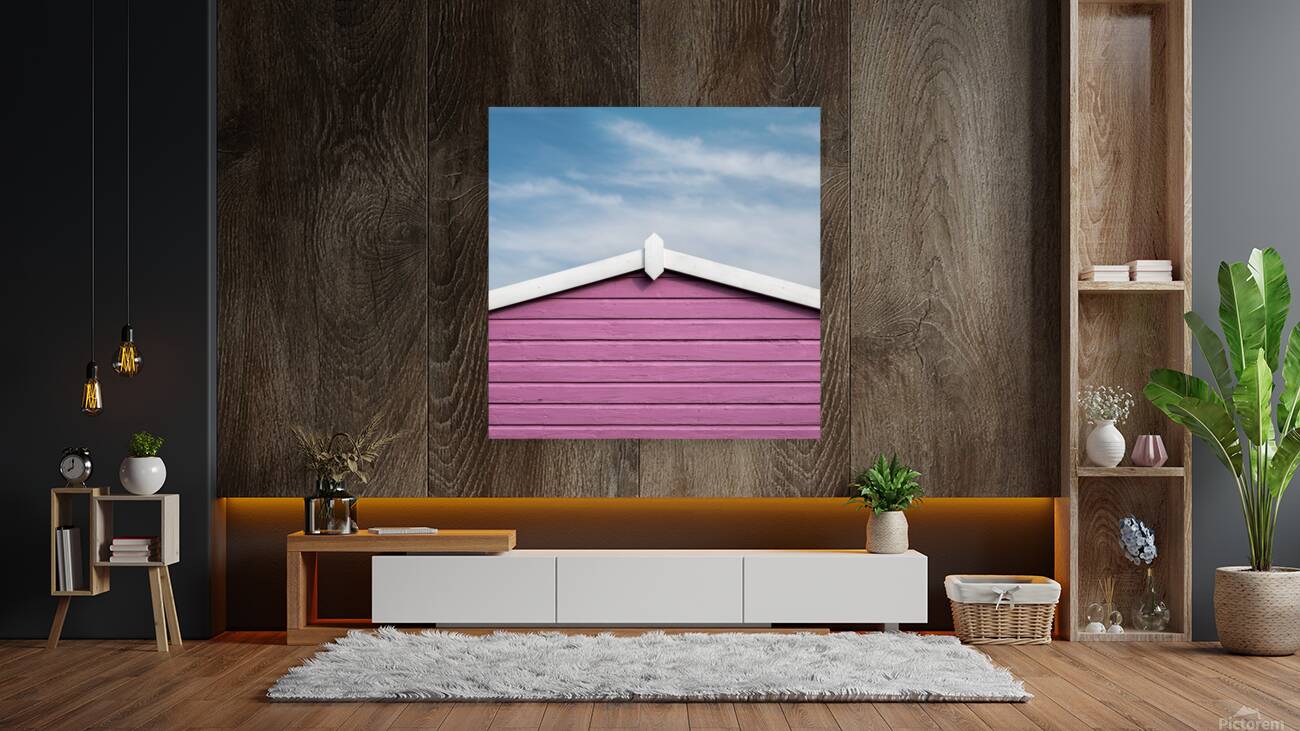 Magenta Divide Reproduction