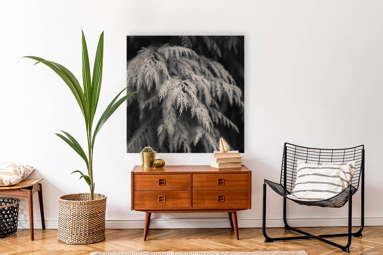 Cypress Leaves Reproduction