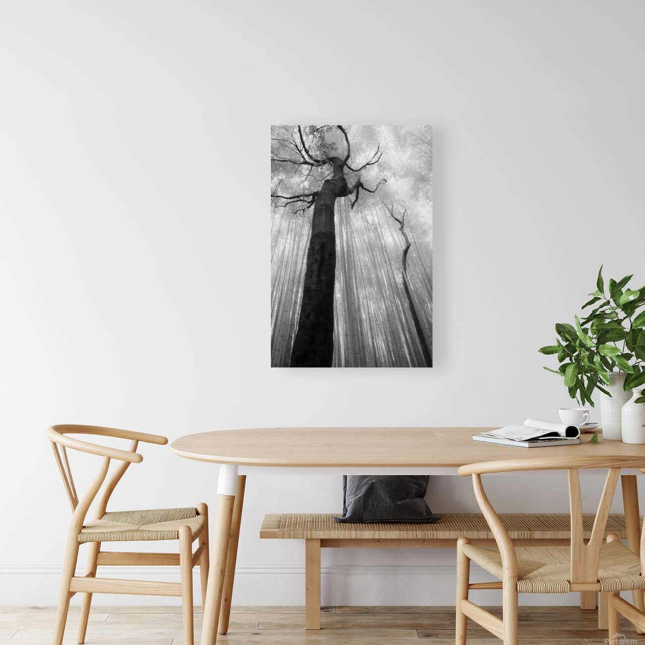 Fractured Rhythm Reproduction