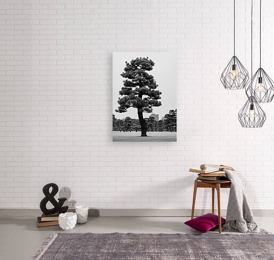 Japanese Black Pine Tree Reproduction