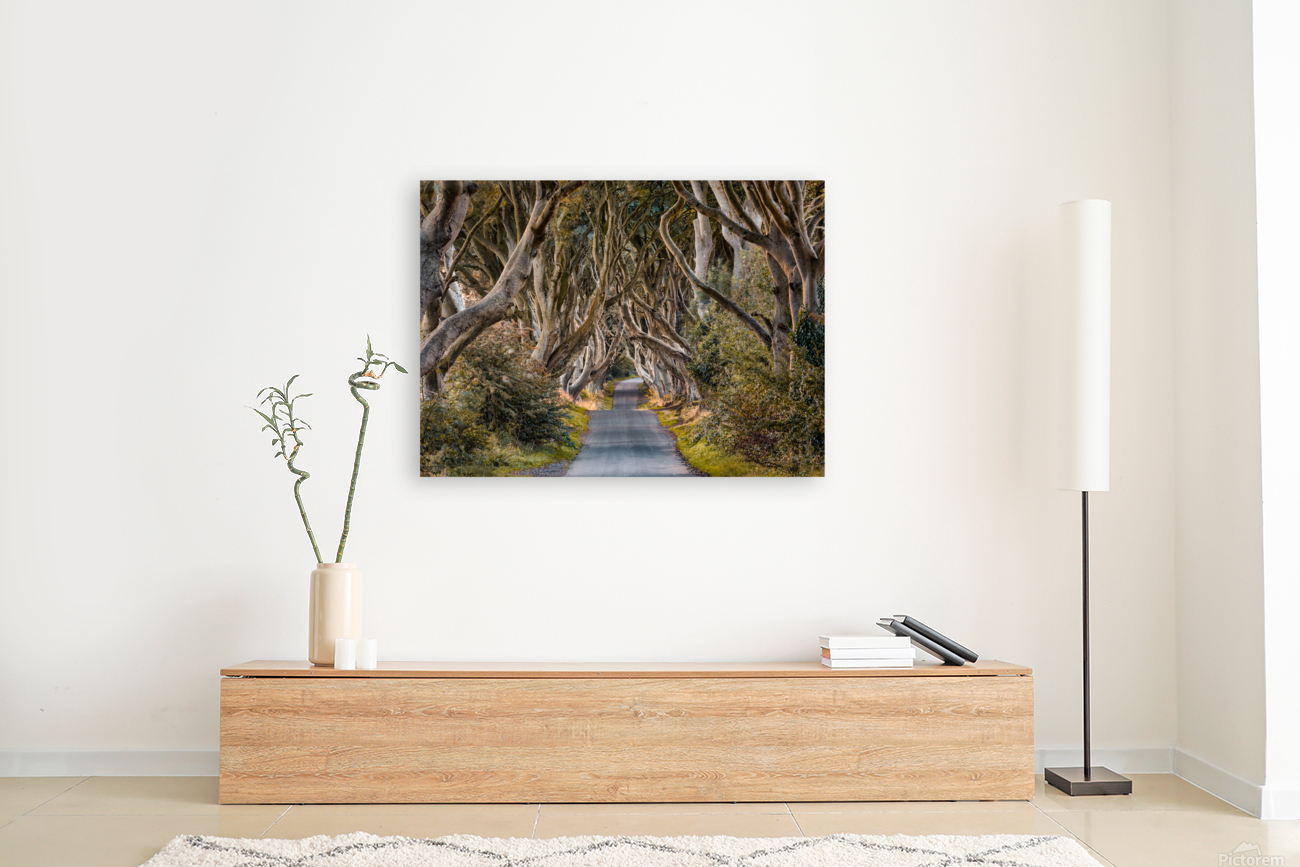 The Dark Hedges Reproduction