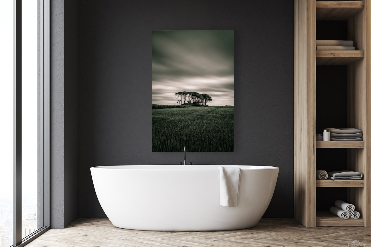 Crawton Copse Reproduction